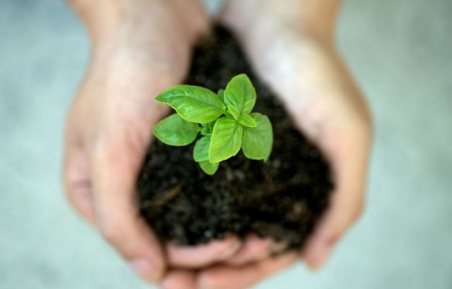 サスティナビリティ